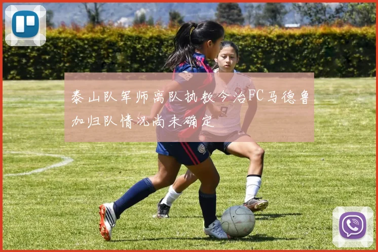 泰山队军师离队执教今治FC马德鲁加归队情况尚未确定
