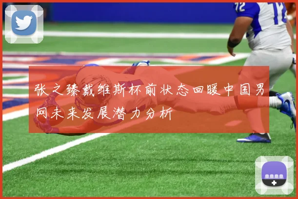 张之臻戴维斯杯前状态回暖中国男网未来发展潜力分析