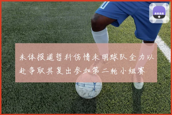 米体报道哲科伤情未明球队全力以赴争取其复出参加第二轮小组赛
